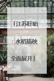 江苏盱眙：水稻插秧全面展开