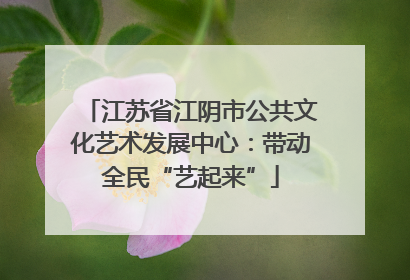 江苏省江阴市公共文化艺术发展中心：带动全民“艺起来”