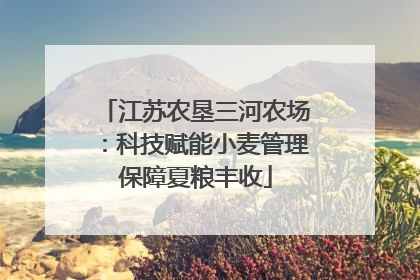江苏农垦三河农场：科技赋能小麦管理保障夏粮丰收