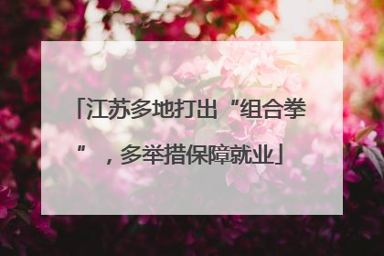 江苏多地打出“组合拳”，多举措保障就业