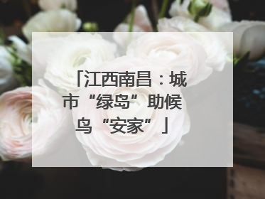 江西南昌：城市“绿岛”助候鸟“安家”