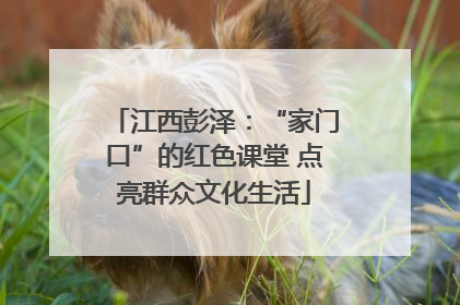 江西彭泽：“家门口”的红色课堂 点亮群众文化生活