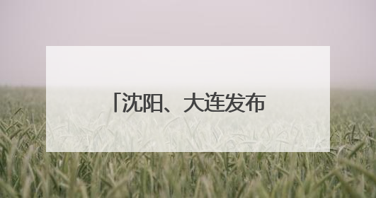 沈阳、大连发布干部任免名单