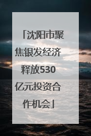 沈阳市聚焦银发经济释放530亿元投资合作机会