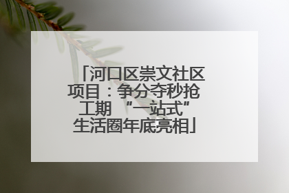 河口区崇文社区项目：争分夺秒抢工期 “一站式”生活圈年底亮相