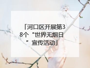 河口区开展第38个“世界无烟日”宣传活动