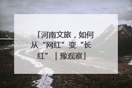 河南文旅，如何从“网红”变“长红”｜豫观察