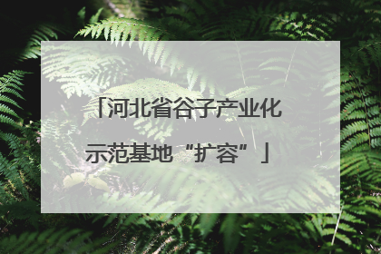 河北省谷子产业化示范基地“扩容”