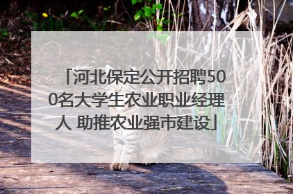 河北保定公开招聘500名大学生农业职业经理人 助推农业强市建设