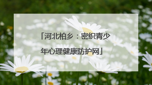 河北柏乡：密织青少年心理健康防护网
