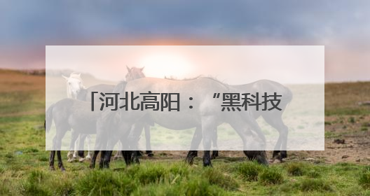 河北高阳：“黑科技”赋能夏种 跑出农业生产“加速度”
