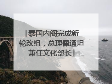 泰国内阁完成新一轮改组，总理佩通坦兼任文化部长