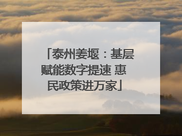 泰州姜堰：基层赋能数字提速 惠民政策进万家