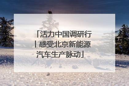 活力中国调研行丨感受北京新能源汽车生产脉动