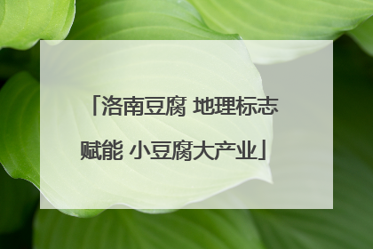 洛南豆腐 地理标志赋能 小豆腐大产业