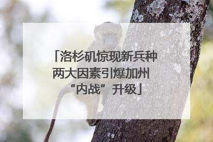 洛杉矶惊现新兵种 两大因素引爆加州“内战”升级