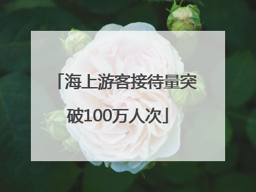 海上游客接待量突破100万人次