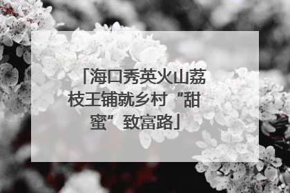 海口秀英火山荔枝王铺就乡村“甜蜜”致富路