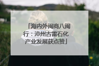 海内外闽商八闽行：漳州古雷石化产业发展获点赞