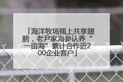 海洋牧场插上共享翅膀，老尹家海参认养“一亩海”累计合作近200企业客户