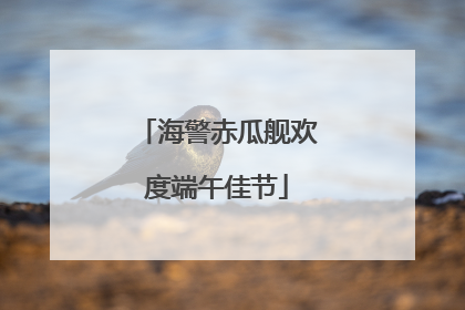 海警赤瓜舰欢度端午佳节