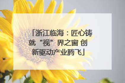 浙江临海：匠心铸就“视”界之窗 创新驱动产业腾飞