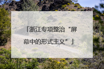 浙江专项整治“屏幕中的形式主义”