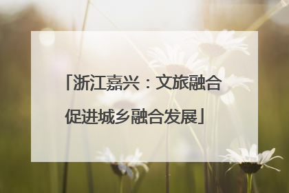 浙江嘉兴：文旅融合促进城乡融合发展