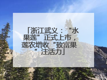 浙江武义：“水果莲”正式上市，莲农增收“致富果”注活力