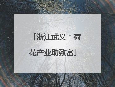 浙江武义：荷花产业助致富