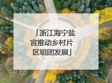 浙江海宁盐官推动乡村片区组团发展