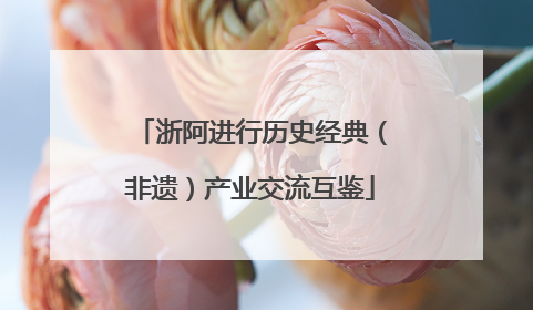浙阿进行历史经典（非遗）产业交流互鉴