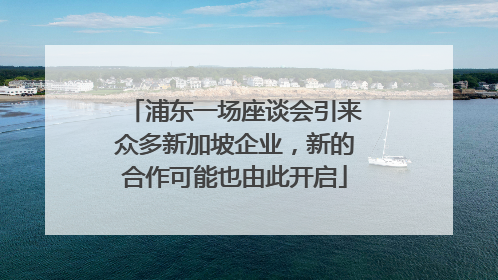 浦东一场座谈会引来众多新加坡企业，新的合作可能也由此开启