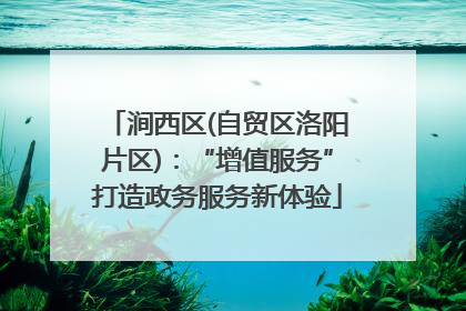 涧西区(自贸区洛阳片区)：“增值服务”打造政务服务新体验