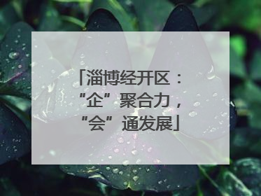 淄博经开区：“企”聚合力，“会”通发展