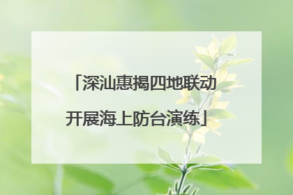 深汕惠揭四地联动开展海上防台演练
