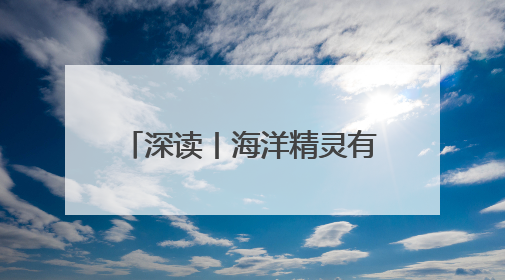深读丨海洋精灵有了AI“管家”