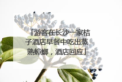 游客在长沙一家桔子酒店早餐中吃出蒸熟蟑螂，酒店回应