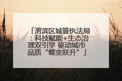 渭滨区城管执法局：科技赋能+生态治理双引擎 驱动城市品质“蝶变跃升”