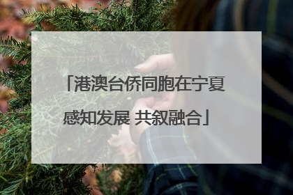 港澳台侨同胞在宁夏感知发展 共叙融合
