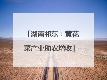 湖南祁东：黄花菜产业助农增收
