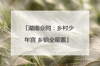 湖南会同：乡村少年宫 乡镇全覆盖