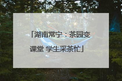 湖南常宁：茶园变课堂 学生采茶忙