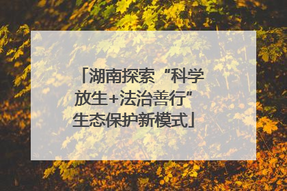 湖南探索“科学放生+法治善行”生态保护新模式