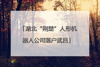 湖北“荆楚”人形机器人公司落户武昌