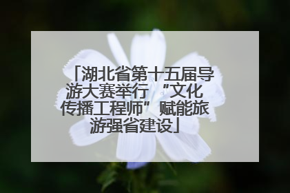 湖北省第十五届导游大赛举行 “文化传播工程师”赋能旅游强省建设
