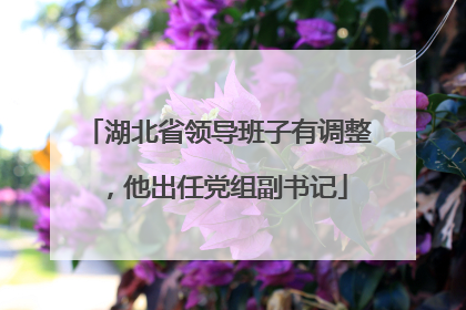 湖北省领导班子有调整，他出任党组副书记
