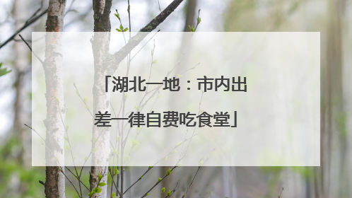 湖北一地：市内出差一律自费吃食堂