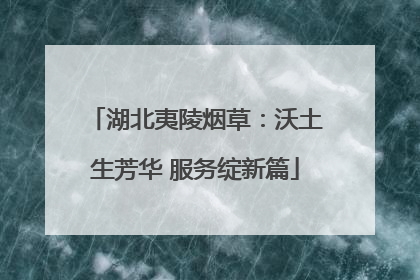 湖北夷陵烟草：沃土生芳华 服务绽新篇