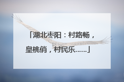 湖北枣阳：村路畅，皇桃俏，村民乐……